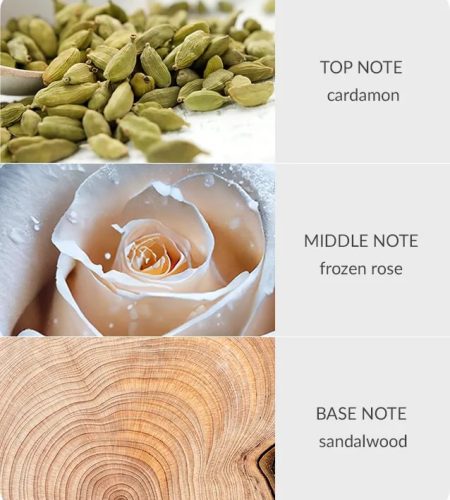 notes-bamboo-frozen-woodland-walk-medium-2.jpg