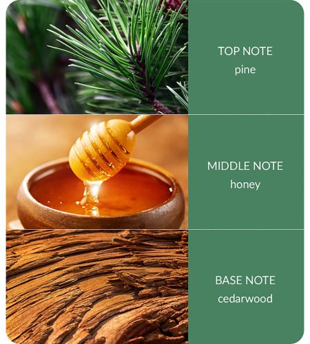 notes-christmas-tree-medium-1.jpg