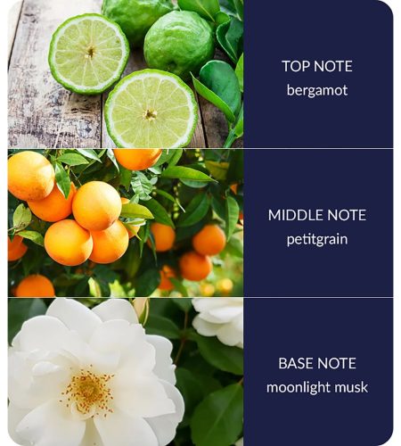 notes-starry-night-medium-1.jpg