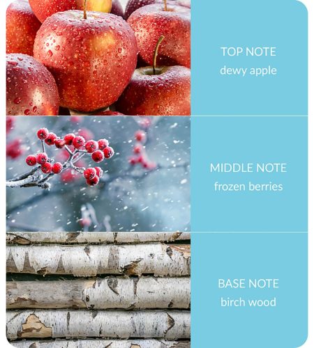 notes-winter-berry-frost-medium-4.jpg